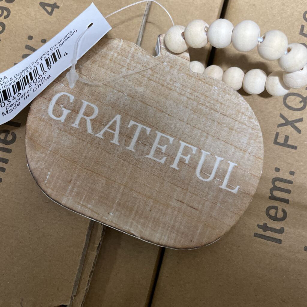 WFF38698-2A Assorted Thankful & Grateful Pumpkin Ornaments