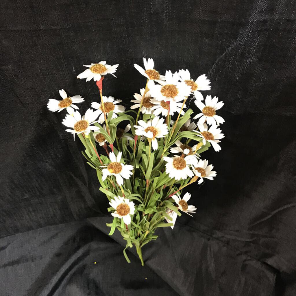 C3643B CR 18" DAISY BUSH tic