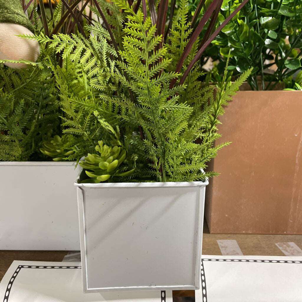 LY2197046 Fern & Succulent Mix in White Metal Planter