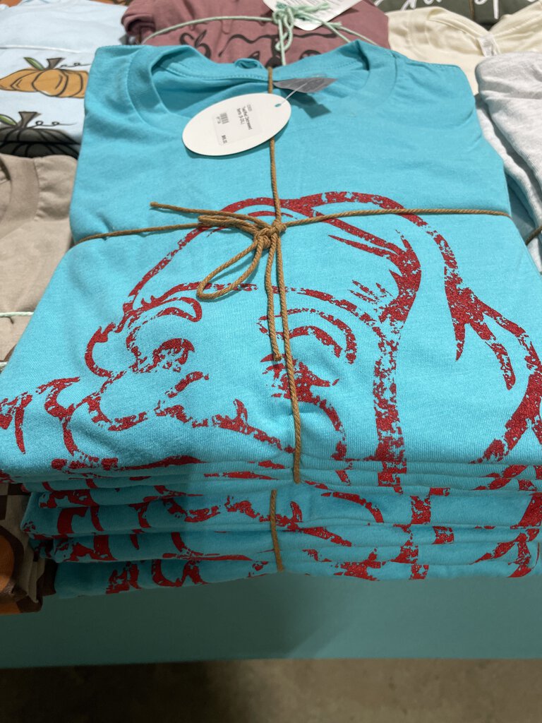 Teal/Red Distressed Santa (S-2XL)