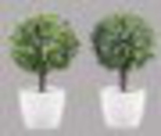 Artificial Topiary in White Planter, 2 Assorted 20495