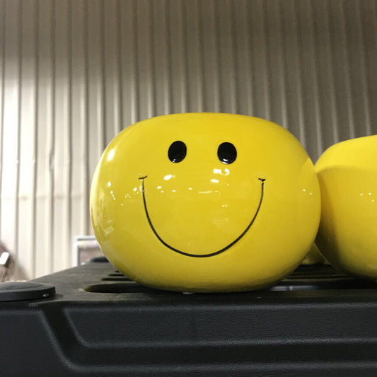 T15710 SMILEY BOWL